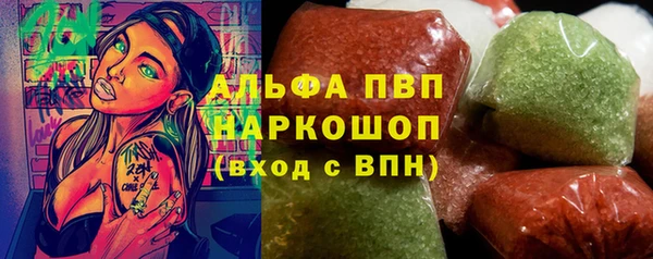 гашик Кодинск