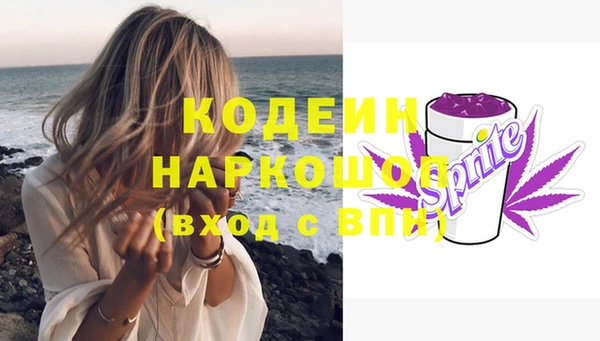 гашик Кодинск