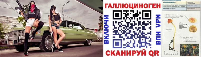 Галлюциногенные грибы Psilocybine cubensis Козельск